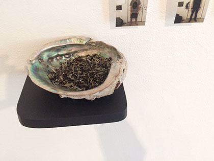 Morrain Bauer-Safonova Sierra Nevada College Bachelor of Fine Arts 2016 Perspectives On Design Award