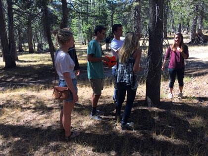 environ-systems-200_tahoe-meadows_07-420