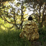 Image of a human form enveloped in gold for the exhibition "Alchemy" at Sierra Nevada College.