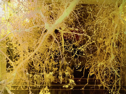Artist Natalya Burd has an exhibition at SNC Tahoe's Garage Door Gallery
