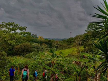 A rainy farm landscape in Agua Buena Costa Rica