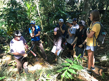 Agua Buena Costa Rica, Sierra Nevada College sustainability students at a highland shade-grown coffee plantation