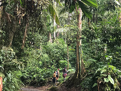 La Selva Biological Station Costa Rica, Sierra Nevada University sustainability students in lowland tropical rainforest