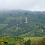 Sustainable Agriculture in Costa Rica, an optional travel course offered for Sustainability students at Sierra Nevada University