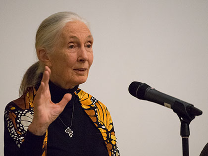 Jane Goodall speaking at Sierra Nevada College.