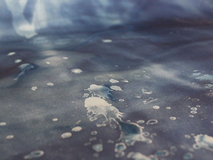 Image for Sierra Nevada University art student Julia Hart's Bachelors of Fine Arts (BFA) exhibition "Touching the Blue"
