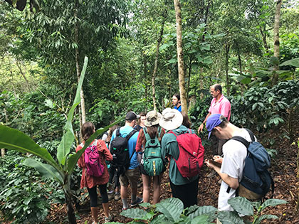 environmental science and sustainability students learning about coffee agroecology in Costa Rica