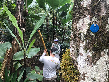 ecology students tagging trees to study coffee shade agroecology in Costa Rica