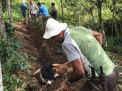 irrigation and erosion control on a coffee plantation in Costa Rica