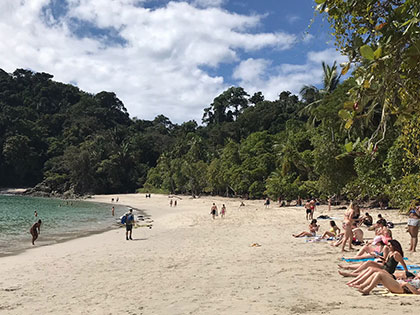 the coastal forest comes all the way to the beach at Manuel Antonio National Park on the Pacific coast of Costa Rica