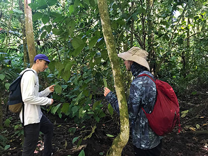 environmental science students measure light competition in lowland rain forest at the La Selva Biological Station in Costa Rica