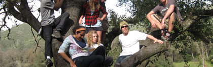 Interdisciplinary Studies students take a break during fieldwork - in a tree
