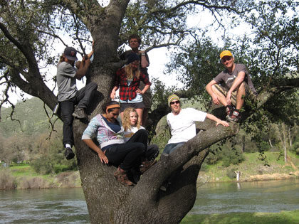 Interdisciplinary Studies students take a break during fieldwork - in a tree