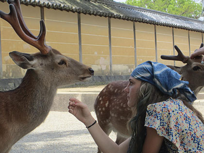 Bachelor of Fine Arts alumna Miranda McFarland gets up and close with a couple deer