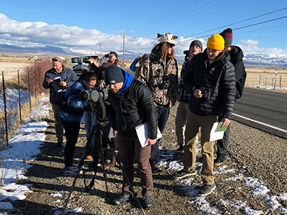 Searching for raptors along Hwy 395, Minden NV, Sierra Nevada College Winter Raptor field course, January 2018