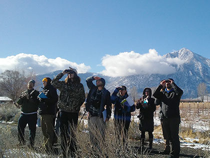 Watching a bald eagle on its nest, River Fork Ranch, Carson Valley NV, Sierra Nevada University Winter Raptor field course, January 2018