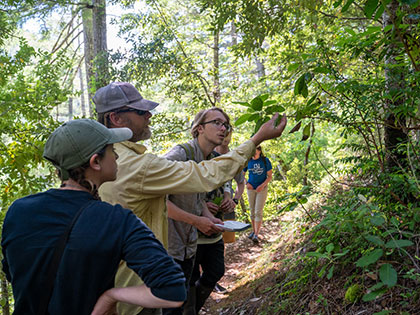 students identifying tree species along the trail on a hike - Sierra Nevada College environmental science and outdoor adventure leadership students in field courses on the Wild and Scenic Rogue River