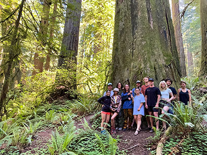 Group photo of SNU sustainability students under a huge redwood during a field research trip.