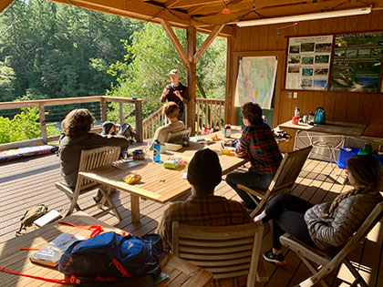 SNU sustainability students discussing field research on redwoods