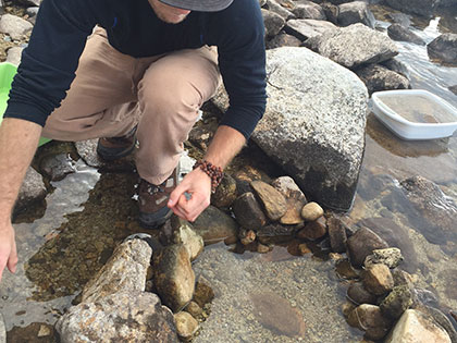 Sierra Nevada University ecology courses examine the population size of crayfish in Lake Tahoe