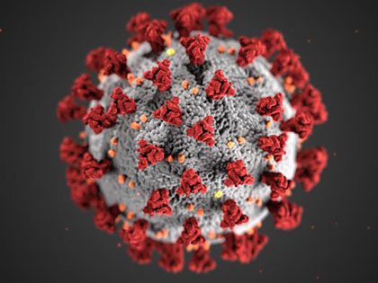 Illustration of a coronavirus