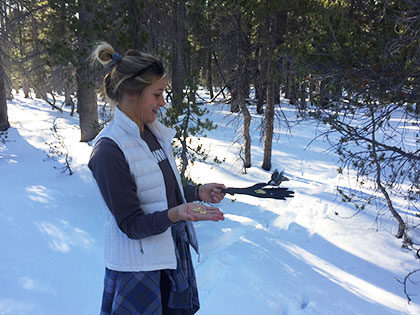Environmental Systems student feeds Chickadees while on class field trip