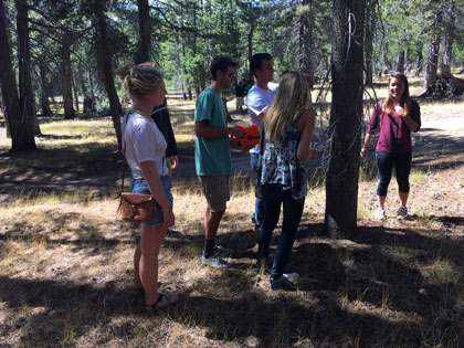 SNU Tahoe's Natural Resource Management class takes a census of high country trees