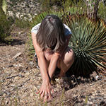 gabie_strong_agnes_bolt-th