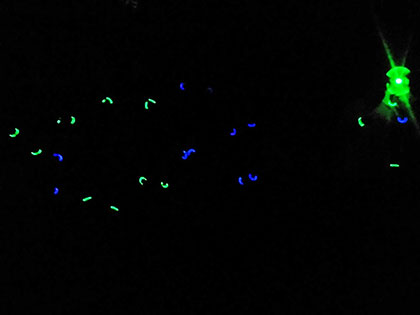 glo-in-the-dark-frisbee-420