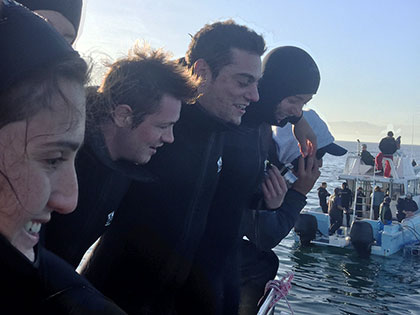 2015 Ecology class goes shark diving in Cape Town, South Africa