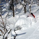 Dave Wadleigh, Business major, skis powder in the back country